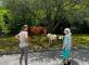 Un festival placé sous le signe de la fête… foraine  Résidence Pompairain Châtillon-sur-Thouet